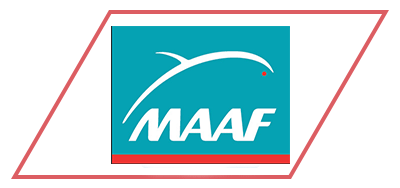 logo maaf